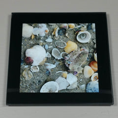 Seashore Collection