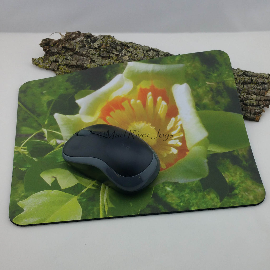 Mug--WrapAround Photo