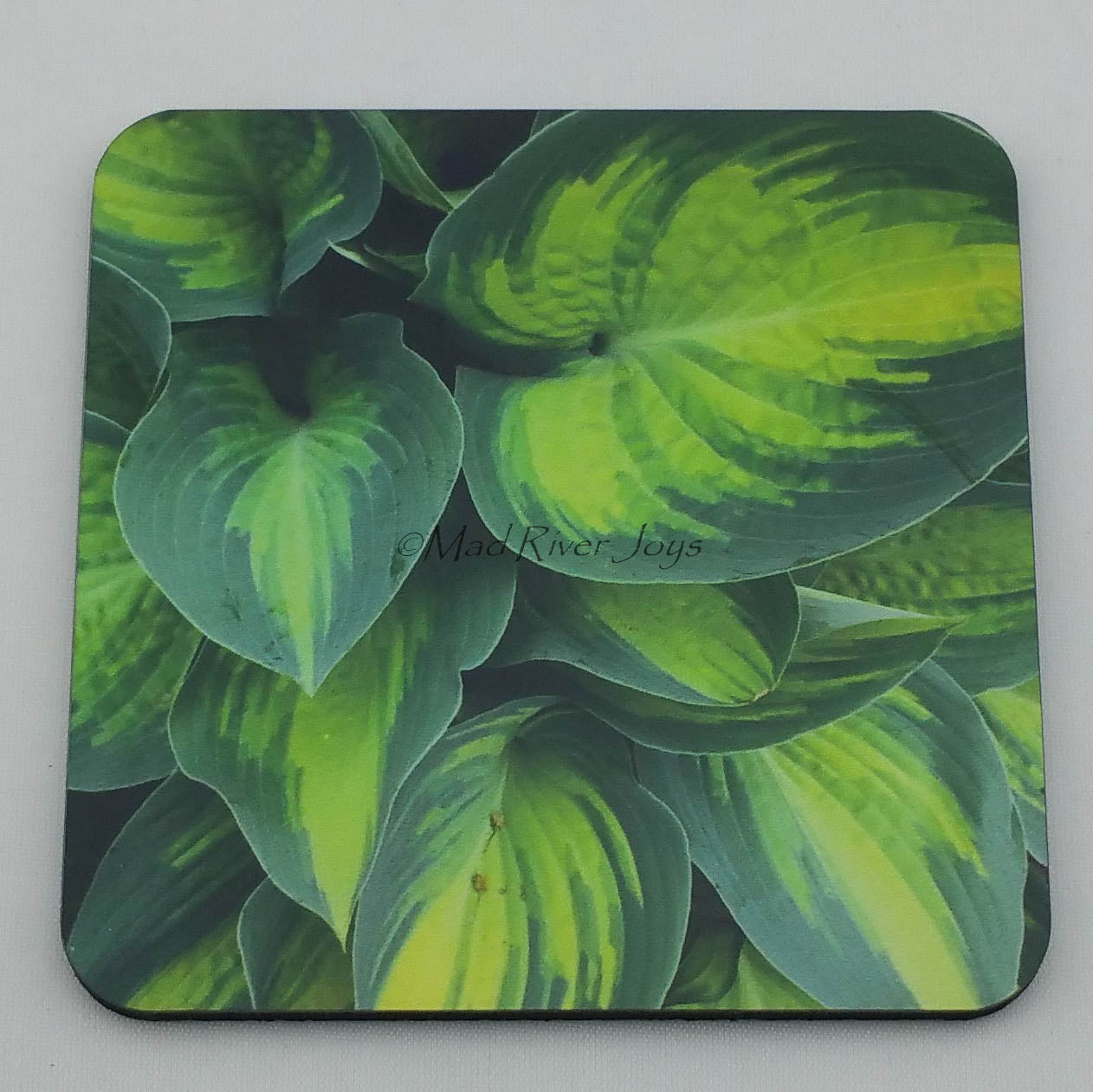 Coaster--Photo Print--Cork--Hosta