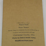 Greeting Cards--Peace Rose Combo Pack