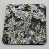 Coaster--Photo Print--Cork--Lamium